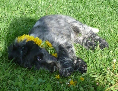 Berry 5.6.2010 (4).jpg